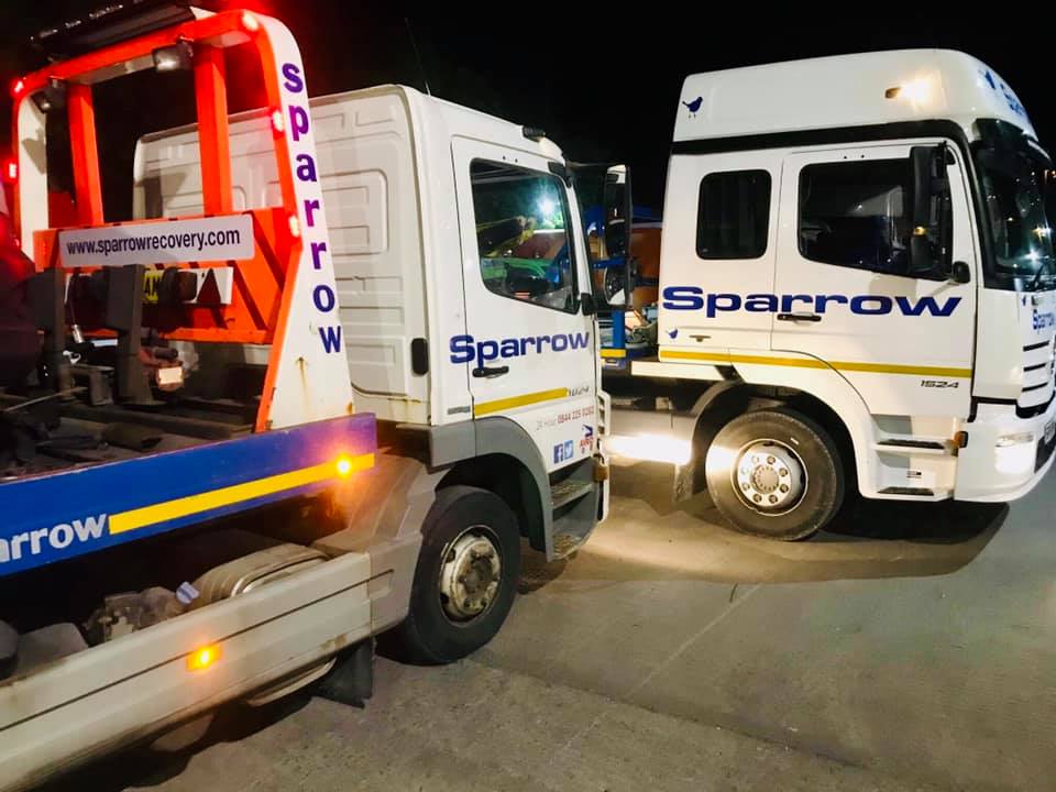 Sparrow Recovery